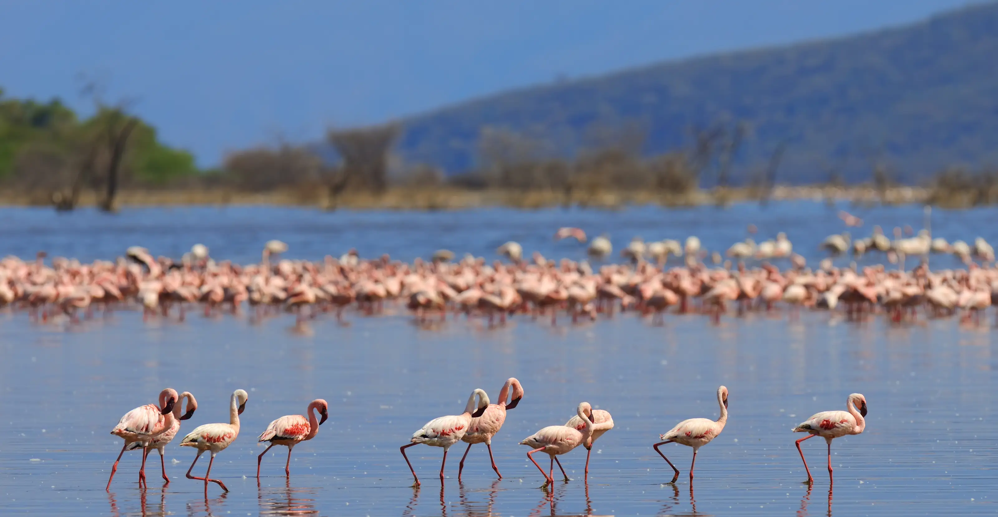 2-Days Lake Manyara & Ngorongoro Safari Itinerary